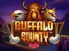 12bet 43
